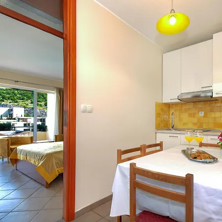 Lavanda * プリモシュテン